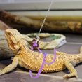 thumbnail image 1 of GAXIRE Reptile Harness De Nylon Púrpura Ajustable Para Exterior Con, 1 of 6