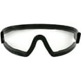 Birdz Eyewear Wing Skydiving & Motorcycle Goggles (Clear Lens