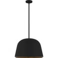 thumbnail image 3 of Quoizel Tamara 4-Light Matte Black Pendant Light, 3 of 8