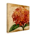 thumbnail image 2 of Trademark Fine Art 'Vibrant Floral III' Canvas Art by Vision Studio, 2 of 4