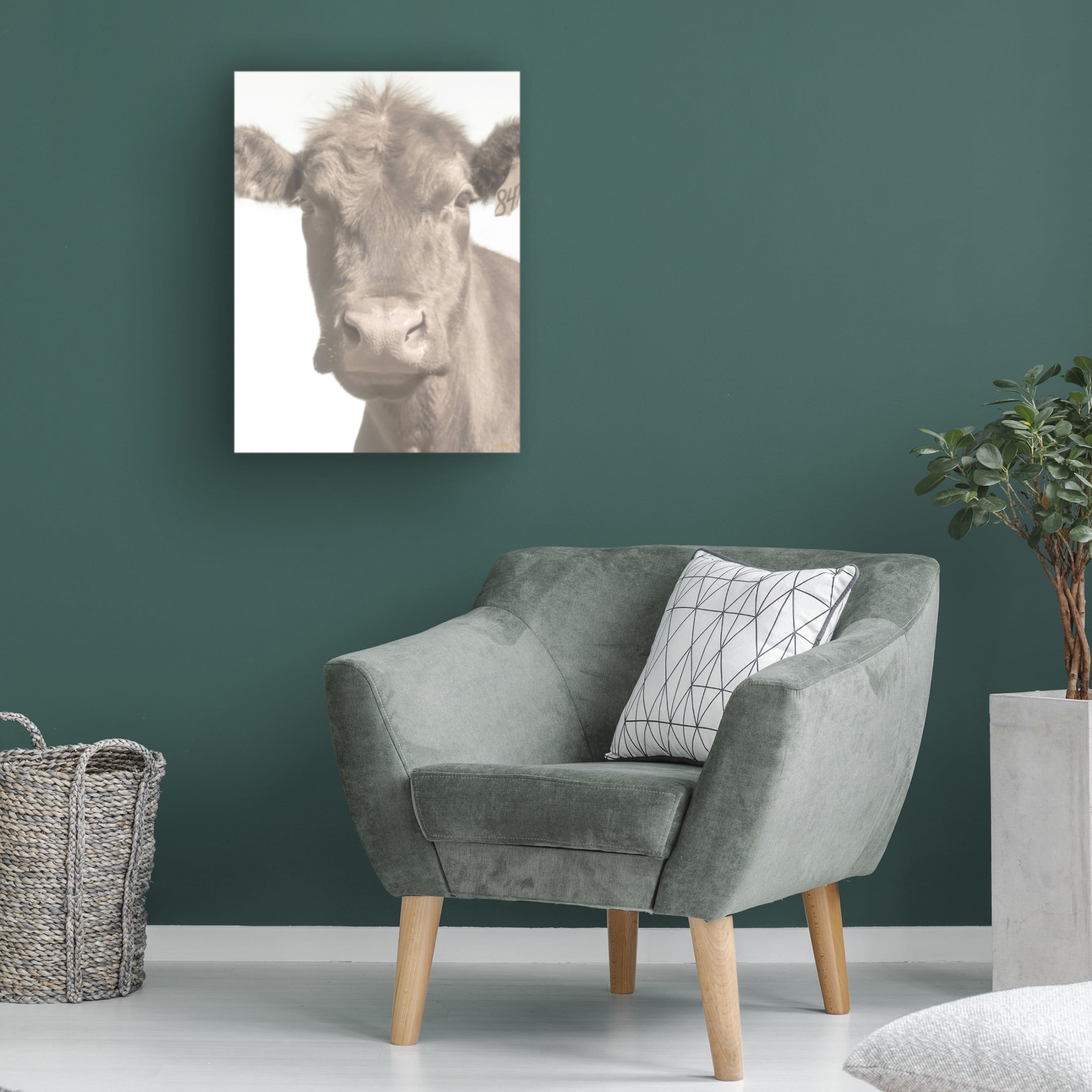 Canvas Wall Art - Life BeautifuLEE 'Soft and Curious' Wall Art for Living Room, Bedroom, or Office Décor by Trademark Fine Art - 24 x 32 Inches