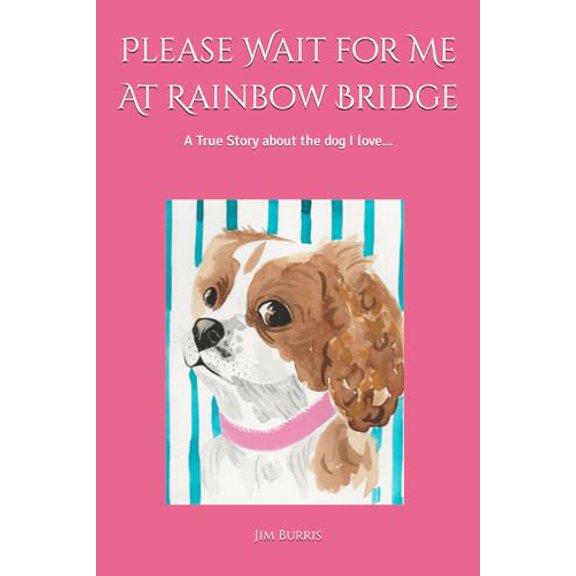 Pre-Owned Please Wait for Me At Rainbow Bridge: A True Story About The Dog I Love, 9781673494716, 1673494714, Paperback,