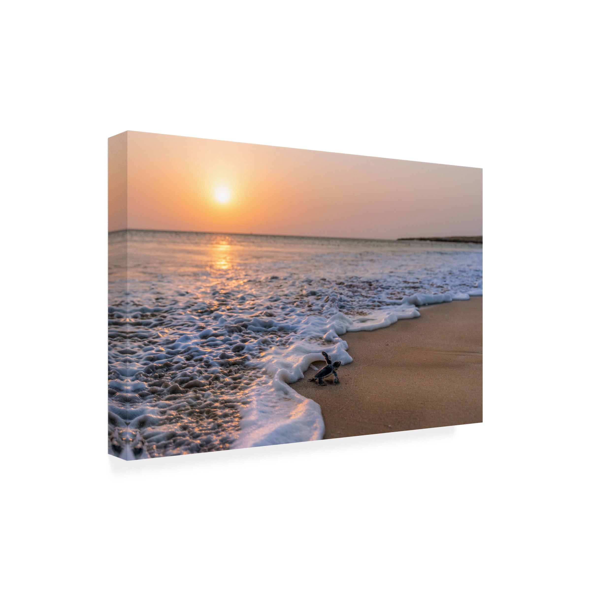 Haitham AL Farsi 'Green Turtle' Canvas Art