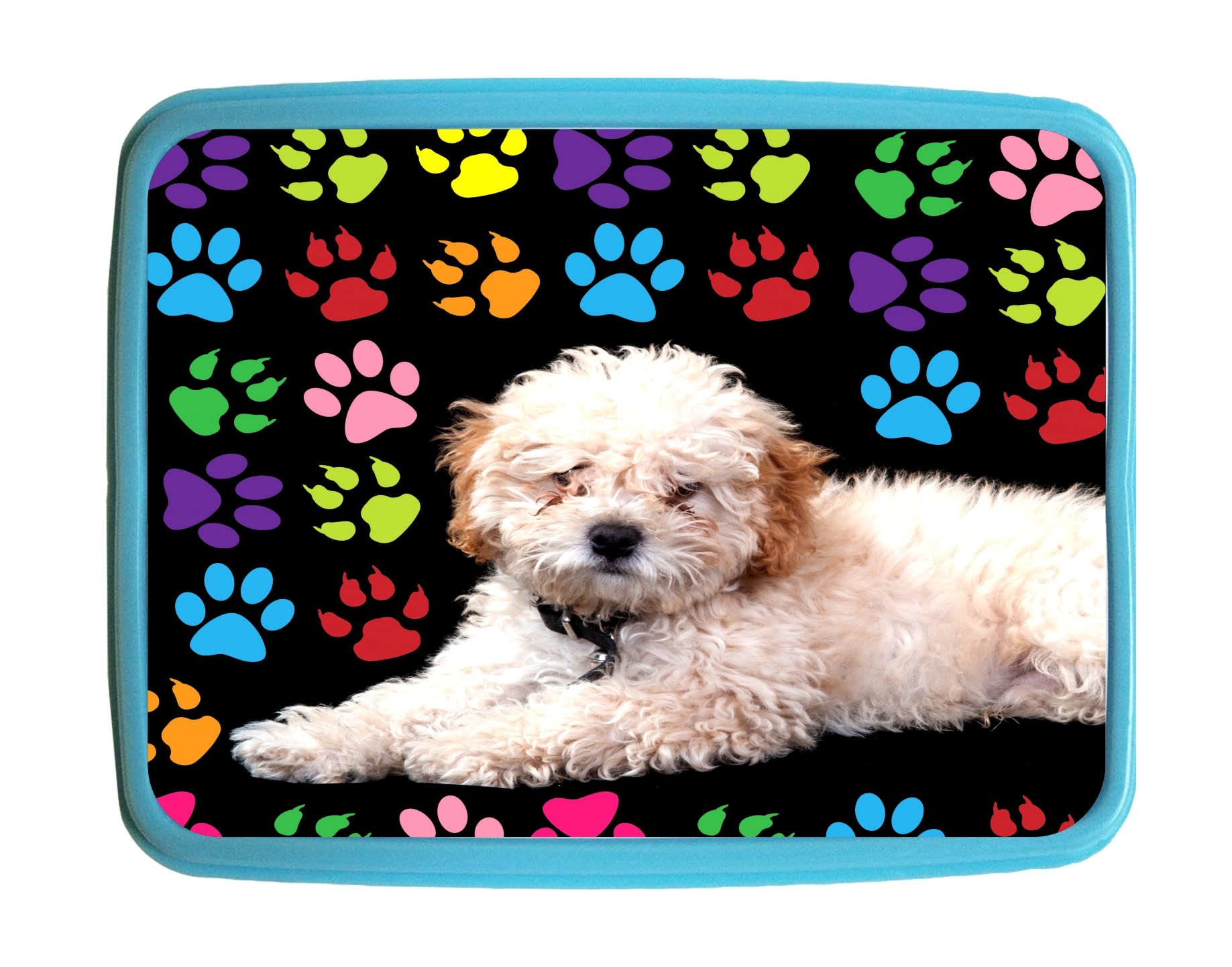 Lunchbox Puppy Poodle Pawprints Kids Bento Lunch Box with 3 Compartment