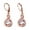 Rose, variant on 14 K White Gold Plated Infinity Leverback earrings