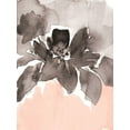 thumbnail image 2 of Loreth, Lanie 12x14 Black Ornate Wood Framed with Double Matting Museum Art Print Titled - Pink Modern Fleur I, 2 of 4