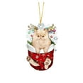 thumbnail image 2 of BKER Christmas Acrylic Christmas Stockings For Cats Decorations Christmas Tree Decorations Crafts Hanging Decorations, 2 of 4