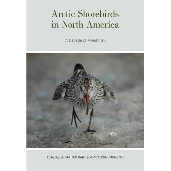 Studies in Avian Biology: Arctic Shorebirds in North America : A Decade of Monitoring (Series #44) (Edition 1) (Hardcover)