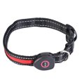 thumbnail image 2 of Collar de perro ajustable, collar de perro LED con collar de seguridad para mascotas Collar de perro LED adaptado para la perfección, 2 of 8