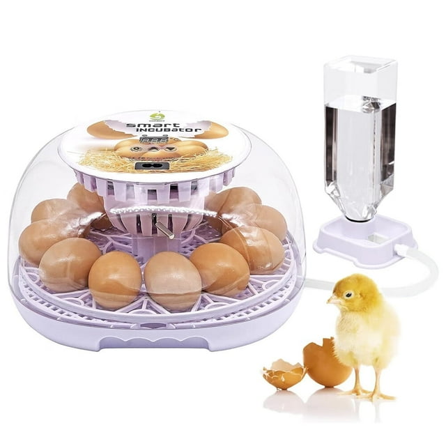 Egg Incubator 12 Eggs Fully Automatic Poultry Hatcher Machine with Humidity Display Candler Temperature Control