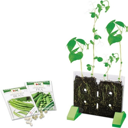 Educational Insights Sprout & Grow Window