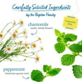 thumbnail image 3 of Bigelow Chamomile Mint, Caffeine Free, Herbal Tea Bags, 20 Count, 3 of 11