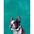 thumbnail image 2 of PI Studio  12x14 Black Ornate Wood Framed with Double Matting Museum Art Print Titled - Frenchie Puppy, 2 of 4