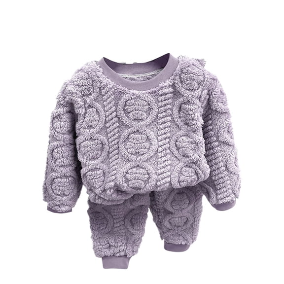 BLCHUNen Boys Girls 2 Piece Outfits Casual Loose Long Sleeve Crew Neck Tops and Pants Fuzzy Comfortable Thickened Sets,4 Years,Purple