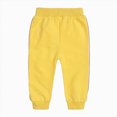 thumbnail image 5 of Toddler Baby Girls Clothes 9 12 18 24 Months 2T 3T Fall Winter Clothes Baby Crewneck Sweatshirts Pants Set Long Sleeve Girls Outfits Jacket Set Yellow Size 3-6 Months, 5 of 6