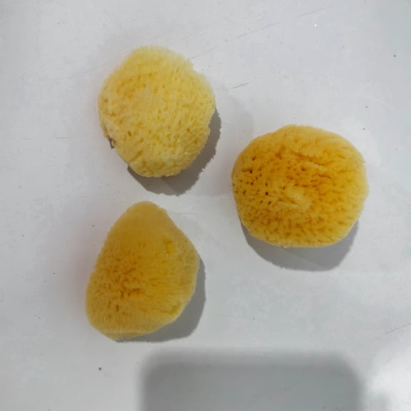 Sinkoo Hermit Crab Sponges, 3pcs Natural Real Unbleached Sea Sponges for Hermit Crab Provides Nutrients Safer Drinking, Aquarium Decor Balance Tank Humidity