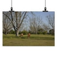 thumbnail image 2 of Print: Rural Alabama In The Spring, 2010, 2 of 4