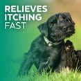 thumbnail image 3 of Naturel Promise Clinic Aid Hot Spot Itch Relief Spray for Dogs & Cats, 8oz, 3 of 8