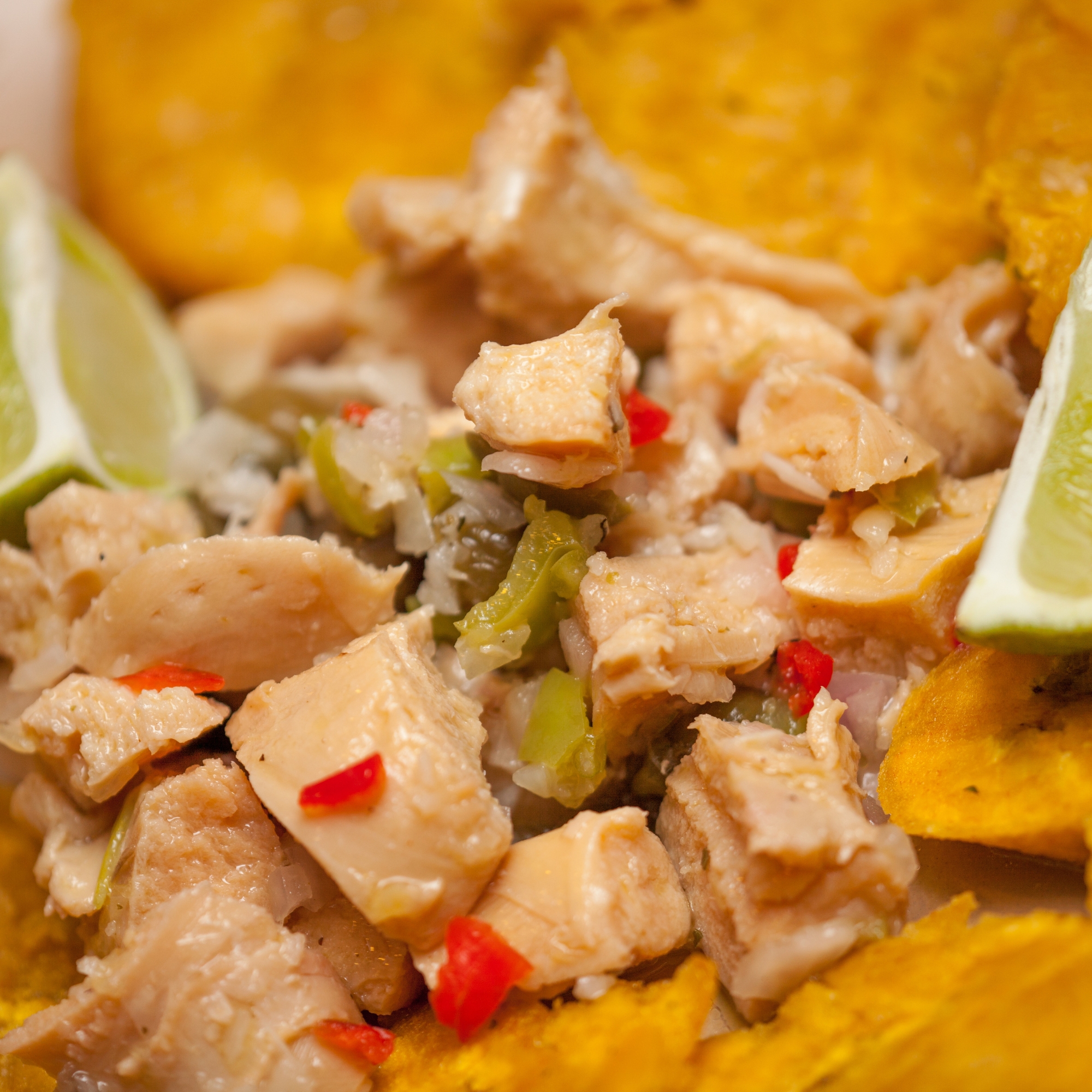 Today Gourmet Frozen Conch Meat Cleaned 5 Lbs