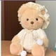 thumbnail image 4 of Oso de peluche de 30cm, oso de mantequilla para niños, figura de acción, cambio de ropa, regalo de cumpleañoszhangyuxiang, 4 of 4