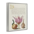 thumbnail image 3 of Stupell Industries Shabby Chic Flower & Bug Study Page Gray Framed Giclee Art, 16 x 20, by June Erica Vess, 3 of 8