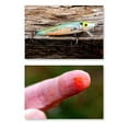 thumbnail image 2 of Pautzke Fire Gel Attractant 1.65oz. (Shad), 2 of 10