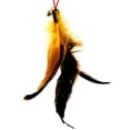 thumbnail image 2 of SPRING PARK Interactive Feather Head for Cat Wand Toy Kitten Toys Easy to Install Feather Head for Cat Teaser Stick Toys, 2 of 7