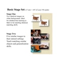 thumbnail image 2 of Stages Learning Materials Language Builder Picture Nouns Card Set 1, Pack of 350, 2 of 3
