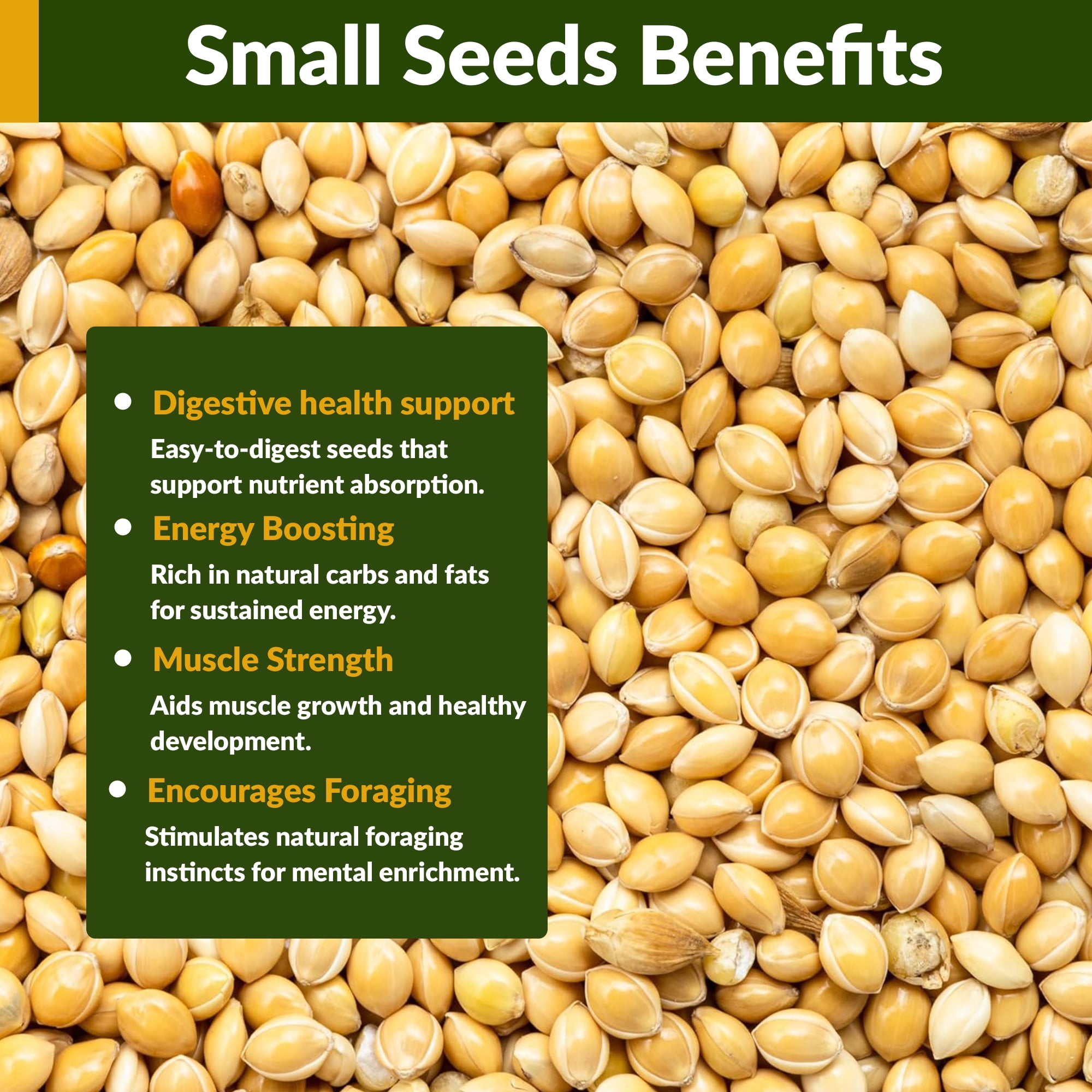 Old Potters Wildlife White Millet Attracts Birds and Wildlife – Non-GMO, Gluten-Free, Nutrient-Rich Bird Seed Mix 25 LBS