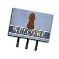 thumbnail image 1 of Carolines Treasures BB5644TH68 Irish Water Spaniel Welcome Leash or Key Holder, 1 of 1