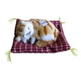 thumbnail image 1 of Activated Charcoal Odor Eliminating Air Purifying Plush Simulation Cat Doll Toy, 1 of 1