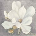 thumbnail image 2 of Great Art Now Serene Magnolia Light Gray by Julia Purinton, Framed Wall Art, 19.5W x 19.5H, 2 of 3