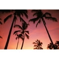 thumbnail image 2 of Hawaii  Silhouette Of Palm Trees At Sunset  Pink Sky. Poster Print, 2 of 2