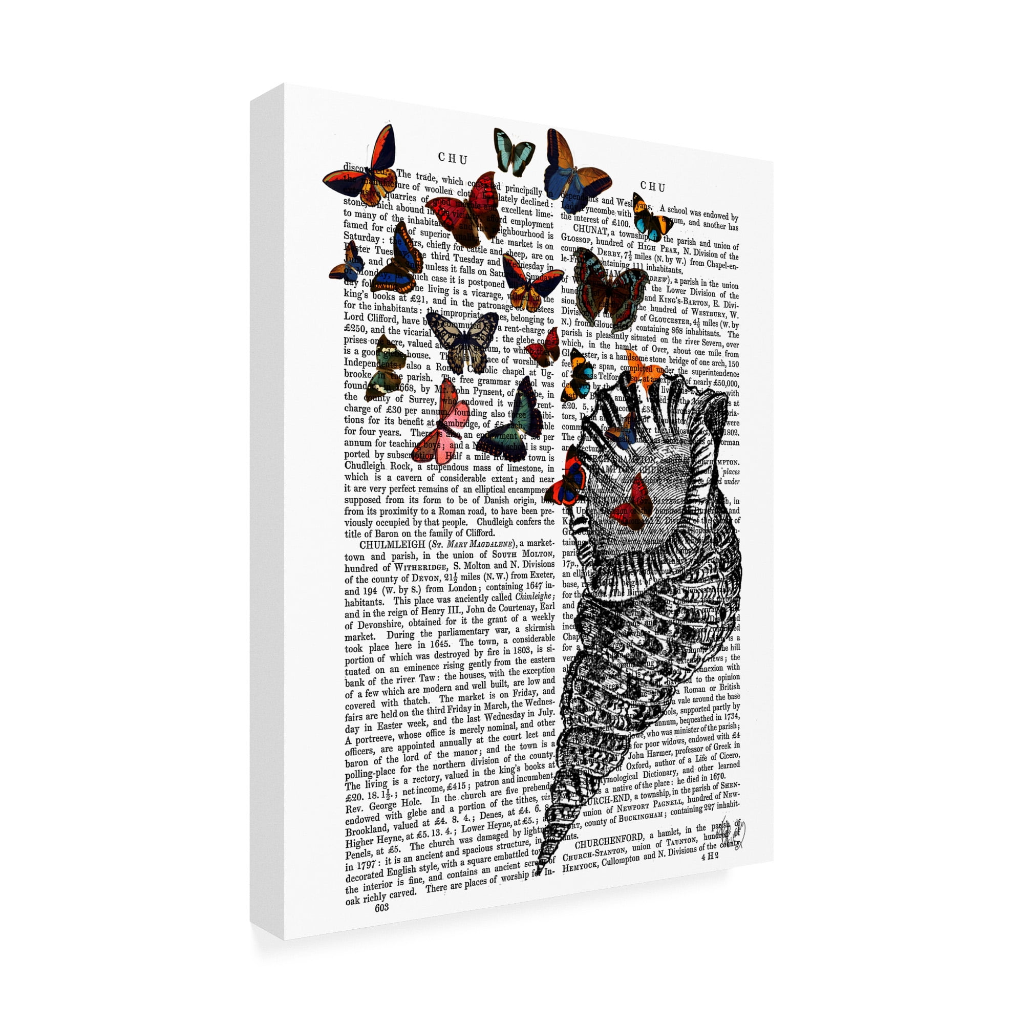 Trademark Fine Art 'Conch Shell and Butterflies' Canvas Art by Fab Funky