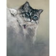 thumbnail image 3 of Harrison, Lesley 15x18 Black Modern Framed Museum Art Print Titled - Sapphires and Whiskers, 3 of 5