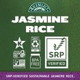 thumbnail image 2 of RiceSelect Premium Thai Jasmine Rice, Gluten-Free, Non-GMO, SRP Verified, 32 oz Jar, 2 of 5