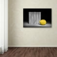 thumbnail image 3 of Trademark Fine Art 'Yellow' Canvas Art by Christophe Verot, 3 of 3