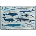 thumbnail image 4 of SKYSONIC 72x48in Cut Whales Area Rug, Undersea Seashell Blue Non-Slip Floor Carpet for Indoor Living Dining Room and Bedroom Area, 4 of 7