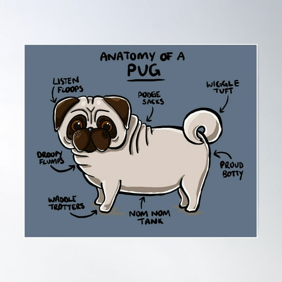 Anatomy Of A Pug Poster Wall Art, Modern Wall Decor For Living Room Bedroom, 12x18 UNFRAMED