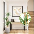 thumbnail image 5 of 4 Ft Artificial Dracaena Tree, Realistic Fake Dracaena Plant, Tall Dracaena Houseplant for Indoor Décor, Adjustable Lifelike Faux Tree, Ideal for Photo Backdrops, Nursery, Living Room, Office, 5 of 6