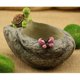 thumbnail image 2 of Animales Macetas Suculentas para Balcón Paisaje Escritorio en Casa Macetas Decorativas 15 Diseño de Animales Encantadores Diferentes Tortuga Baoblaze Plantador de resina suculenta, 2 of 8