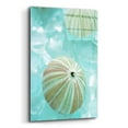 thumbnail image 2 of Epic Art 'Seaglass 4' by Alan Blaustein Acrylic Glass Wall Art, 16"x24", 2 of 8