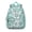 Greenish-blue, variant on Backpack Featuring Pastel Daisy Floral Prints with Durable Water Resistant Construction for Office Essentials, Outdoor Recreation and Weekend Escapes