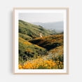 thumbnail image 2 of Superbloom Poppies, Lake Elsinore 02 - Photography Landscape Nature Flowers Scenic Mountain Unframed Wall Art Print 9 x 12 inches, 2 of 13