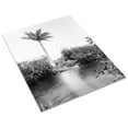 thumbnail image 3 of Print: Florida--Miami River And Royal Palm, 1905, 3 of 4