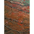 thumbnail image 3 of Fitzharris, Tim 15x18 Black Modern Framed Museum Art Print Titled - Blackgum in autumn near Milwood Lake Arkansas, 3 of 5