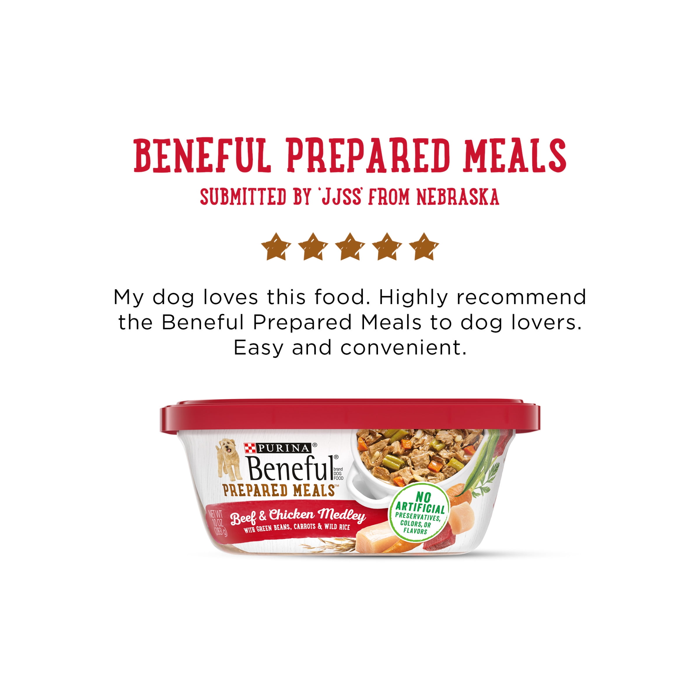 beneful wet dog food walmart