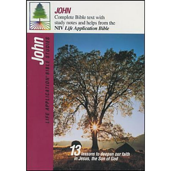 Pre-Owned John (Life Application Bible Studies (NIV)) (Paperback) 0842327177 9780842327176
