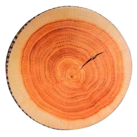 Greensen 3d Tree Wood Slice Memory Foam Cushion Pillow Doll Seat
