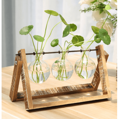 Wooden Stand Glass Terrarium Container Hydroponics Plant Flower Pot Desk